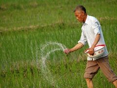 加強生物固氮科技創新，助力耕地資源保護與耕地質量提升