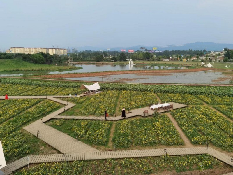 以創建農業國際貿易高質量發展基地為契機——推動中國農業國際合作邁向新高度