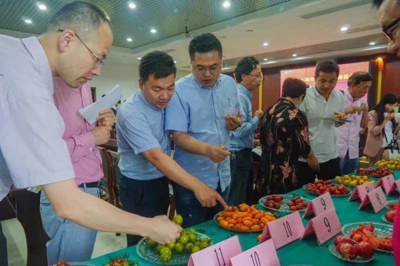 高效果菜新優品種品鑒交流會舉行，一批優質新品種有望走上市民餐桌