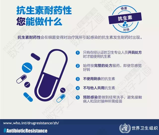 “抗生素肉”擺滿中國人餐桌，豬肉含量居然是牛肉的5倍!