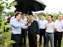 唐仁健：做大做強特色產業，扎實推進鄉村建設