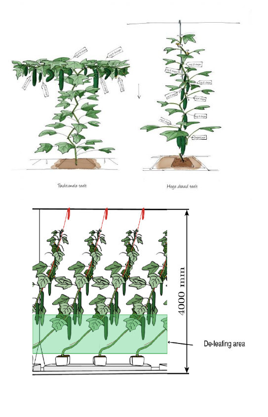 「國際視野」農業(yè)機器人助力自動化種植與生產