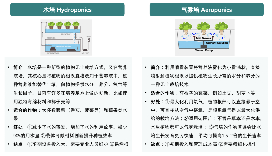 垂直農(nóng)業(yè)，一個(gè)可持續(xù)的未來？