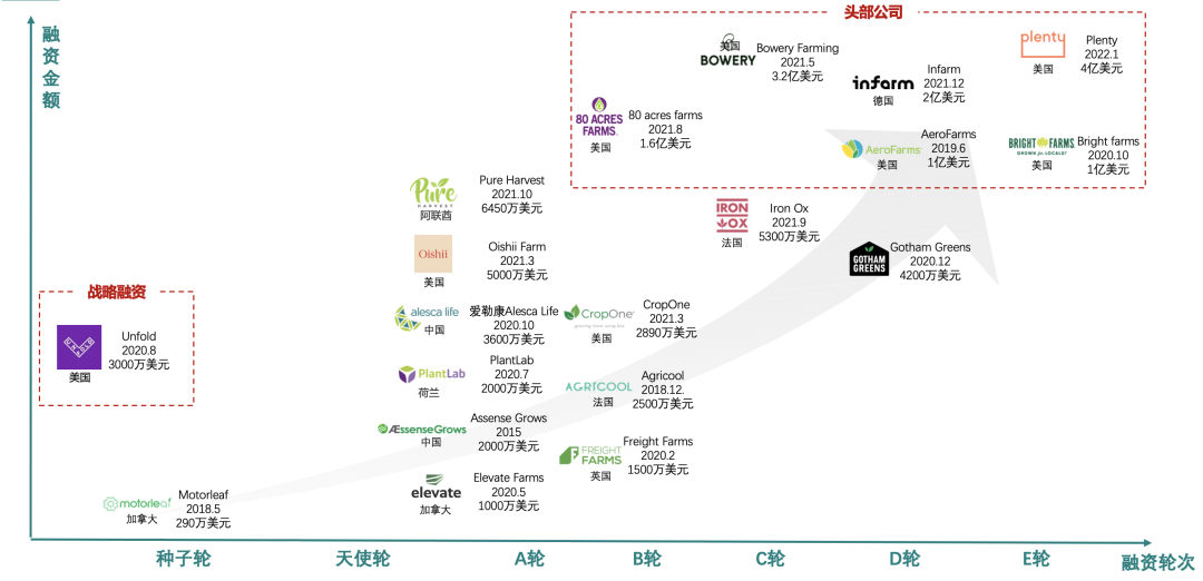 垂直農(nóng)業(yè)，一個(gè)可持續(xù)的未來？