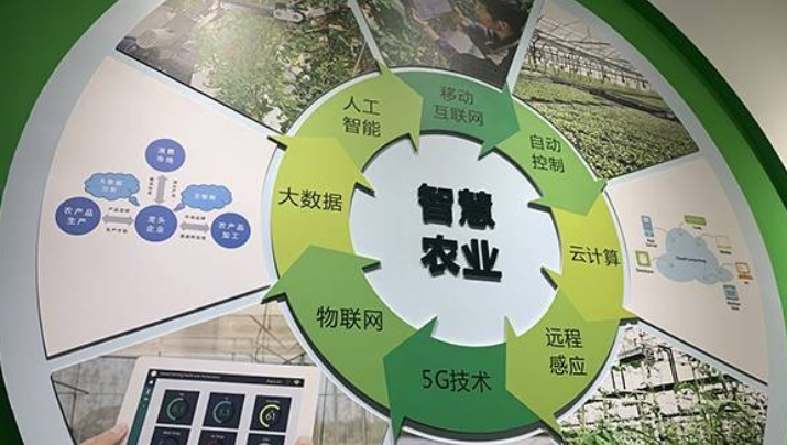 基礎設施薄弱掣肘智慧農業 中國電信5G云網破難題