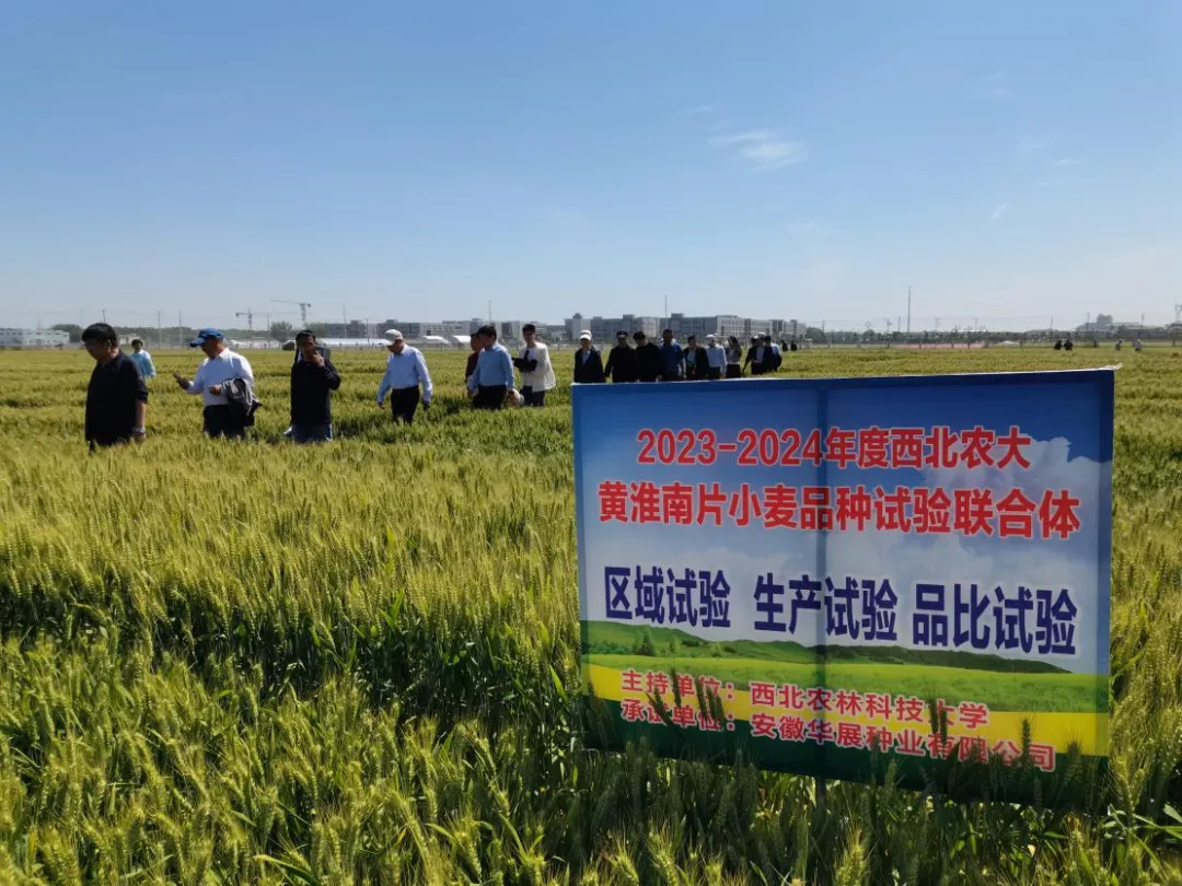 農(nóng)業(yè)“芯片” 扛牢糧食安全重任